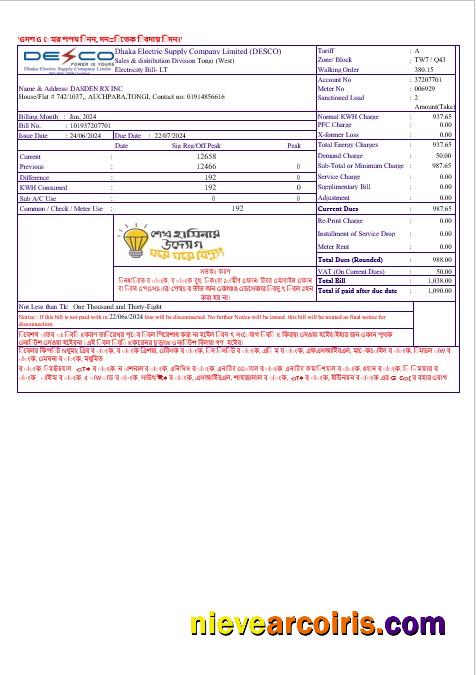 INDIA DECO business utility bill